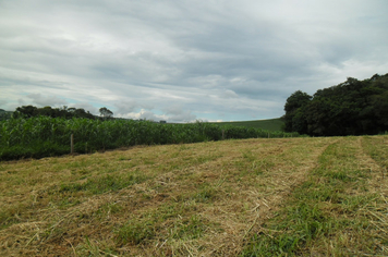 Foto - Projeto Irrigando a Agricultura Familiar em Tenente Portela