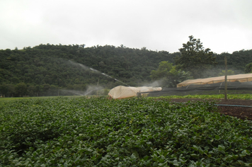 Foto - Projeto Irrigando a Agricultura Familiar em Tenente Portela