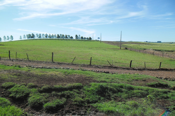 Foto - Projeto Irrigando a Agricultura Familiar em Tenente Portela