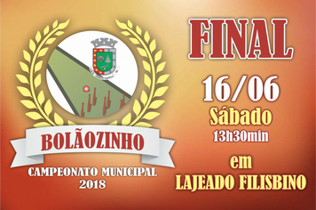 Final do Campeonato de Bolãozinho