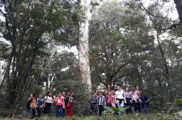 Escola Marcílio Dias realiza atividade  de campo com seus alunos