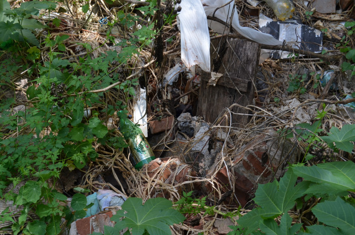 Proprietários de terrenos em situação de abandono serão notificados para efetuar limpeza