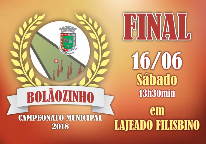 Final do Campeonato de Bolãozinho