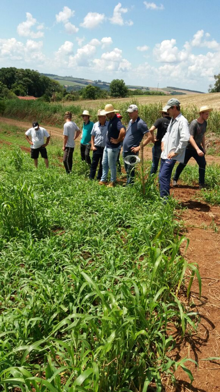 Tarde de Campo Projeto Pisa