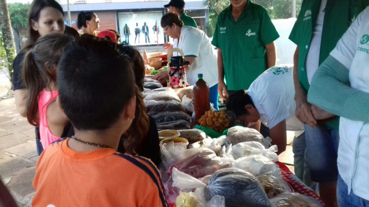 ALUNOS DO 4º ANO DA E.M.E.F. TENENTE  PORTELA REALIZAM   EXPEDIÇÃO INVESTIGATIVA SOBRE O PROJETO ALIMENTAÇÃO SAUDÁVEL