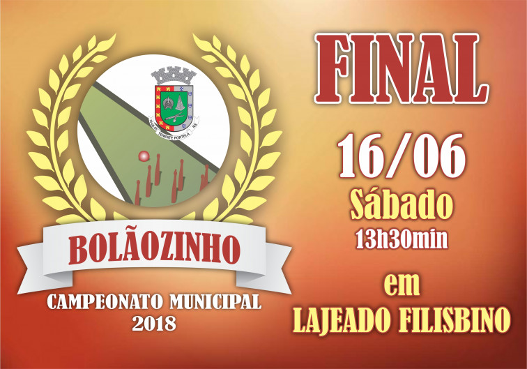 Final do Campeonato de Bolãozinho